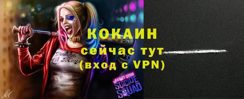 как найти   Любим  COCAIN Fish Scale 